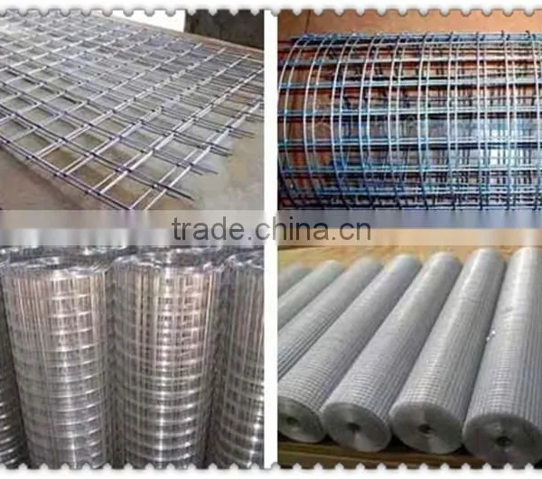 Welded Wire Mesh Welded Wire Mesh Panel Galvanized Wire Mesh Fence Price photo-5