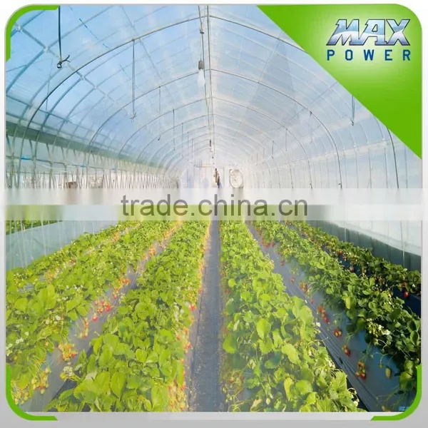 Garden Tunnel Greenhouse for Sale photo-2
