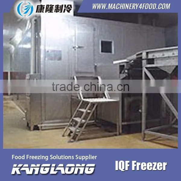High Quality IQF Frozen Fruit Mango Machine With Good Price