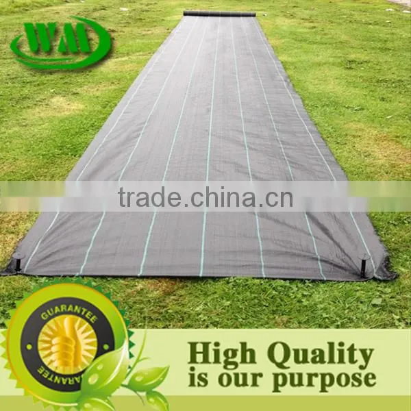 PP Plastic Anti Weed Mat photo-5