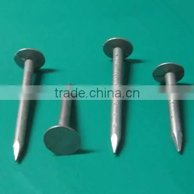 Galvanized Cupper Nails With Factory Price photo-2