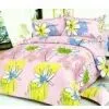 Cotton Sheet Set