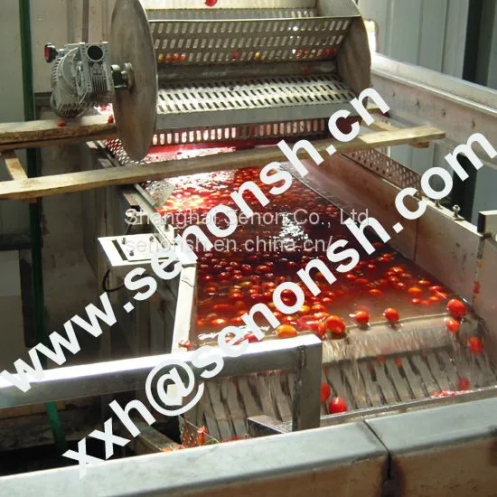 Tomato Paste Production Line With Customized Treatment Capacity photo-3