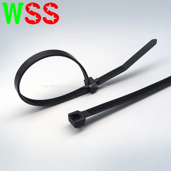 Custom Plastic Injection Security Cable Tie Plastic Electric Wire Cable Tie Cable Ties Self-Locking Nylon photo-2