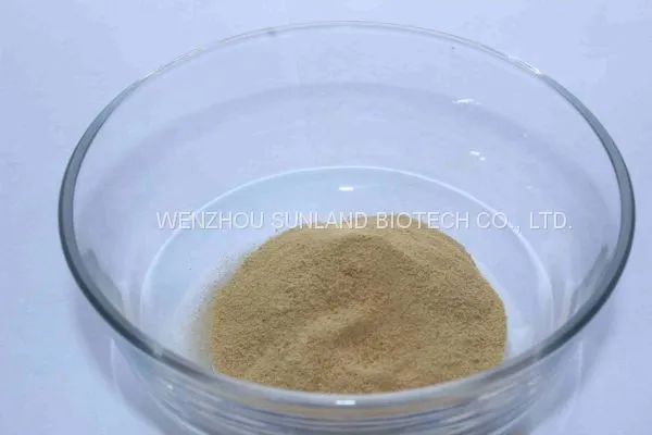 Xylanase