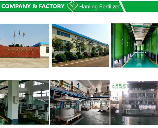 Complex Amino Acid Powder Fertilizer 80% Raw Material photo-4