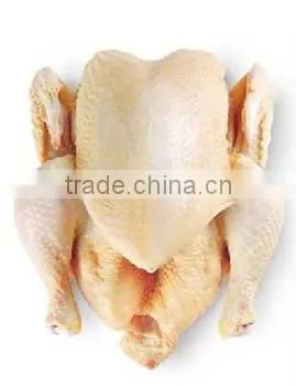 Chicken Griller photo-2