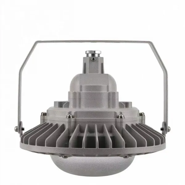 LED Explosion Proof Platform Light IP66 IIC T6 100W Hazardous Area Industrial Lighting