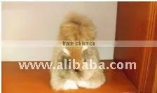 Baby Alpaca Stuffed Squirrel