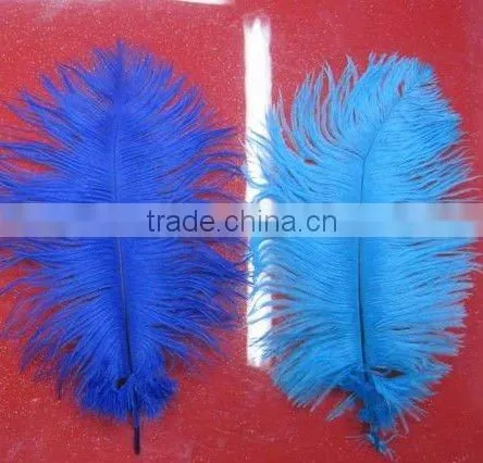 Ostrich Feathers for Wedding Decor