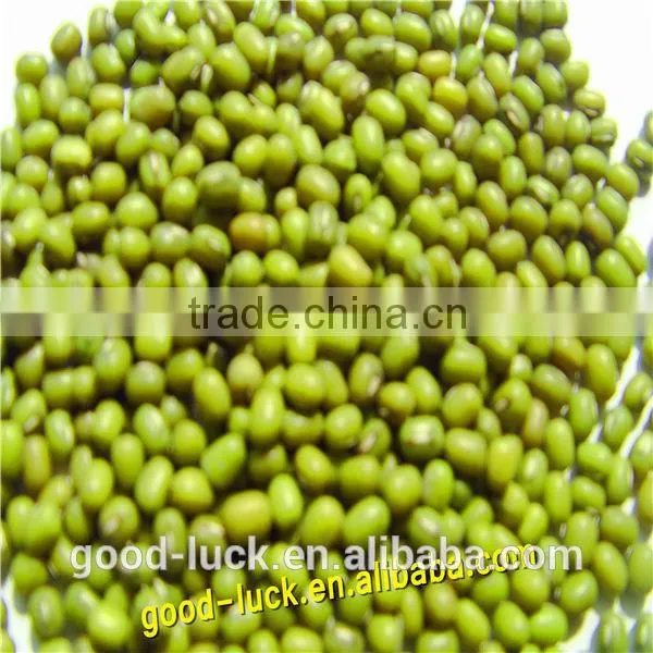 China Heilongjiang Green Mung Beans ( Food Grade) Quality Choice photo-6