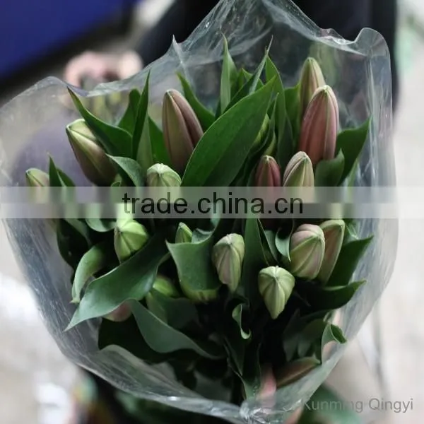 Most Popular Fashion Beautiful Cheap Wholesale Water Lily photo-2