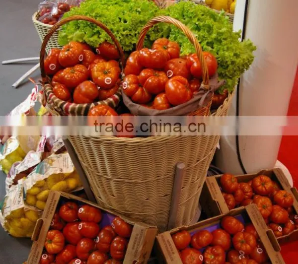 Efficient Polycarbonate Greenhouse for Hydroponic NFT Growing System for Tomato and Lettuce photo-5