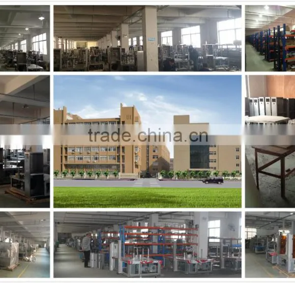 On Edge Biscuit Wrapping Machine / Flow Wrapping Machine photo-4