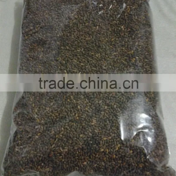 Ochroma Pyramidale Seeds, Balsa Seeds photo-2