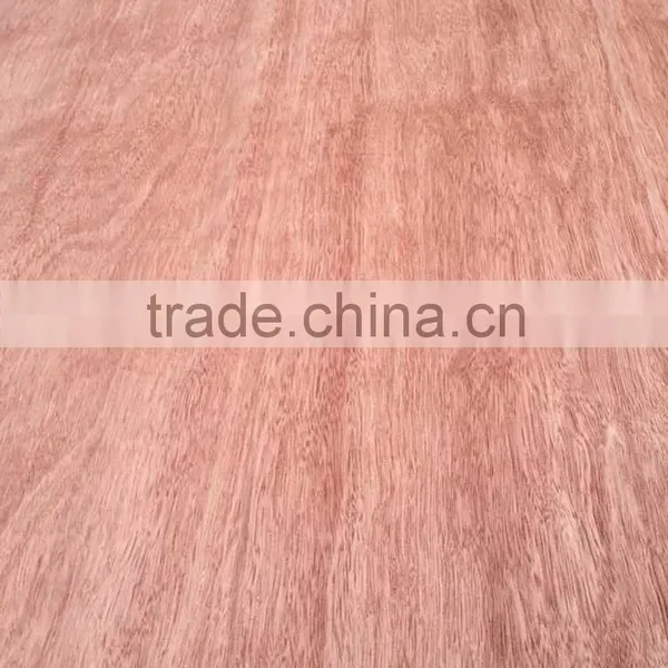 3x7,3x6 Natural BNG Veneer/0.30mm Veneer photo-3