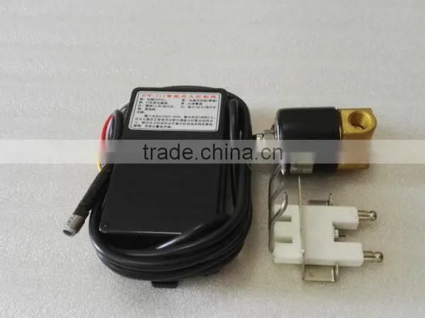 Factory Direct Sale Black Module AC 220V Electronic Gas Ceramic Igniter