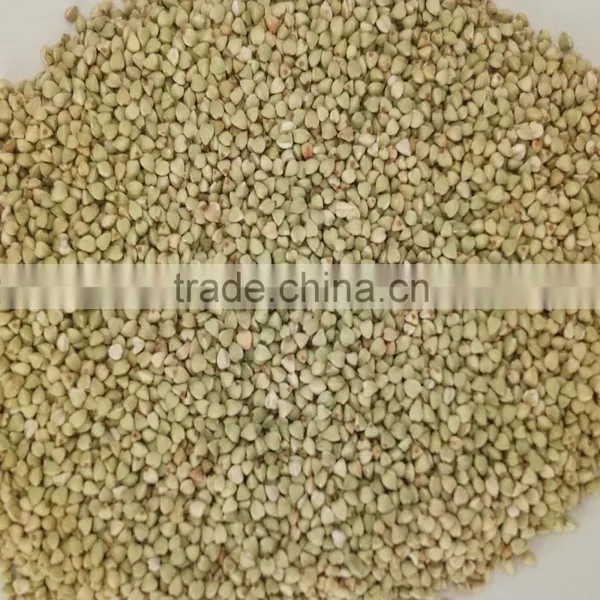 High Quality Raw Buckwheat Kernel photo-2