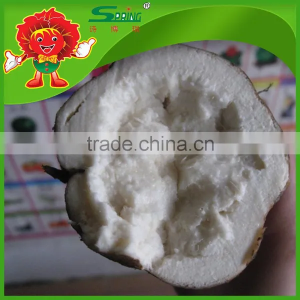 Supply High Quality Kudzu/kudzu Root/kudzu Root Powder photo-3
