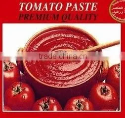 Canned Tomato Paste Gino Roma Factory photo-2