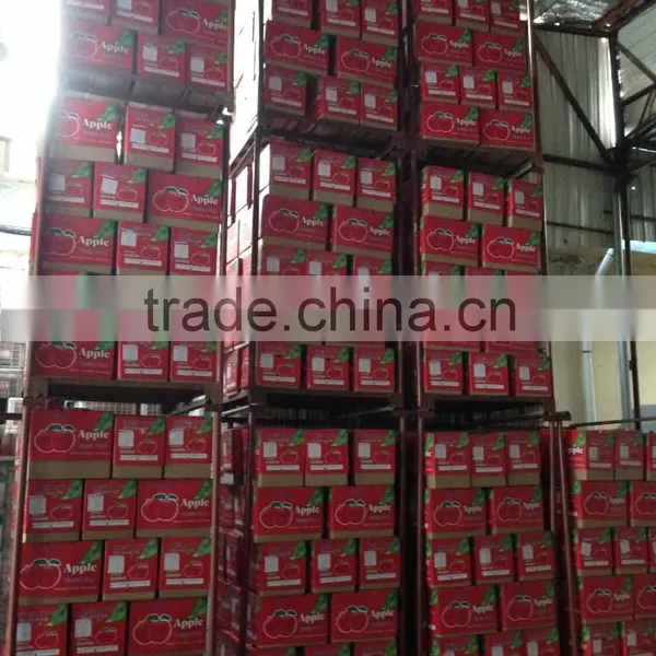 Fresh Chinese Fuji Apple 2014 photo-5