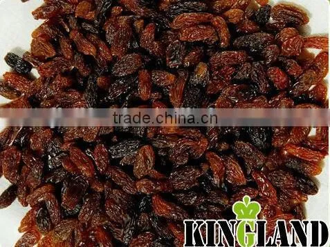 China Dried Sultana Raisin photo-3
