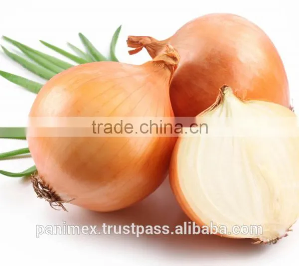 Fresh Onion photo-3
