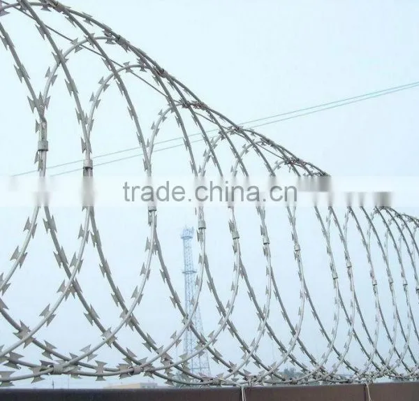 Concertina Razor Barbed Wire BTO-22/low Price Concertina Razor Barbed Wire/Galvanized Razor Barbed Wire(Anping Factory) photo-5