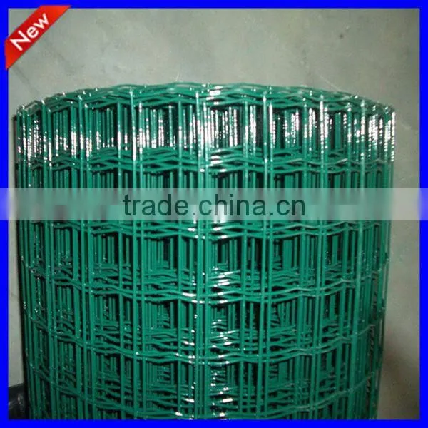 DM Factory Price Euro Fence at High Quality photo-4