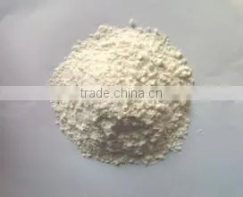 High Quality Wheat Gluten Meal