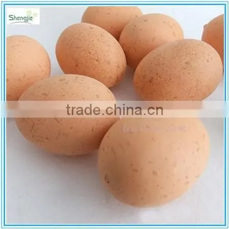J080654 Artificial Egg photo-2
