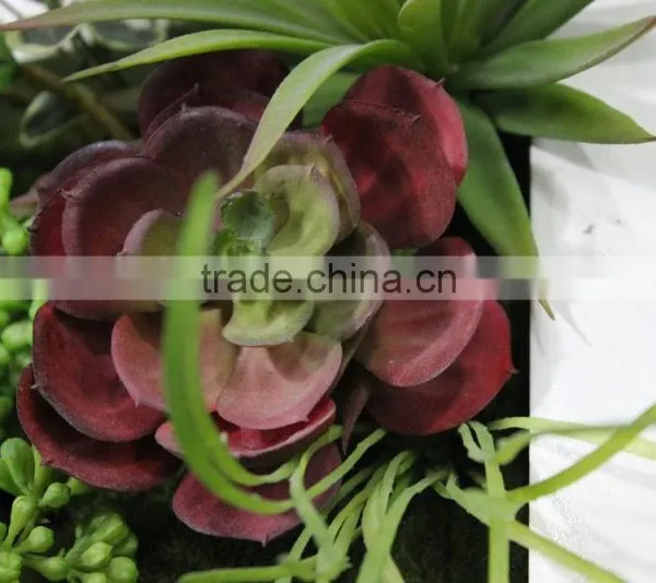 Fake Grass Wall China Factory House Use Artificial Living Wall photo-3