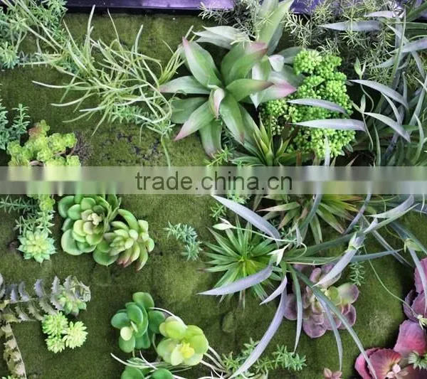 Grass Wall Manufacturer Packing System Modular Green Wall photo-3