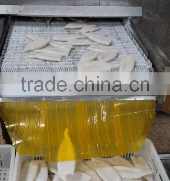 Frozen Tordarodes and Argentina Squid Tube U10,U5 photo-5