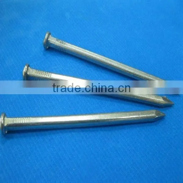 Square Shank Boat Nail With Factory Price photo-6