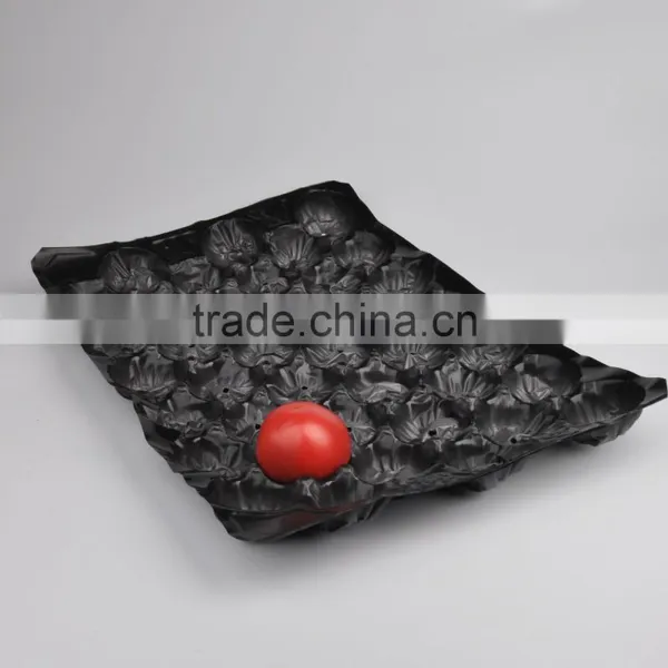 Buyer Protection Free Sample Custom Wholesale Plastic Food Divider Tray photo-2