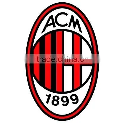 Custom Sport Heat Transfer Sticker/Iron-on Sticker for Jerseys by Heat Transfer Machine photo-2