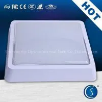 The Sale of the LED Ceiling Light / Square Led Ceiling Light