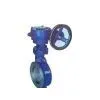 Hard Seal Butterfly Valve