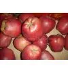 Red Huaniu Apple