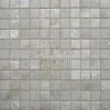 Shell Mosaic