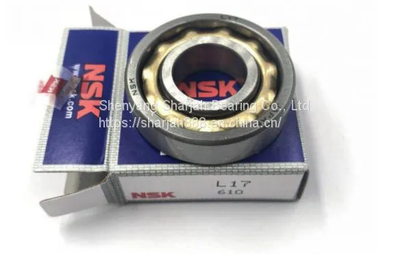 NSK L-17 Magneto Bearing 174010 L17 for Engraving Machine