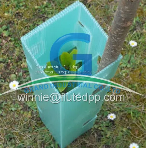 Customize Corflute Plant Guards Tree Guard Sleeve photo-2