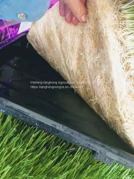 Container Type Hydroponic System Seed Germination Machine Hydroponic Forage Forage Planting System