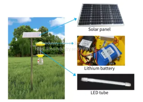 Sustainable Product Solar Insect Trap and Insect Light With Trap for Greenhouse photo-2