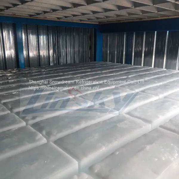 Ice Block Compressor 30Ton High Production Block Ice Machine photo-4