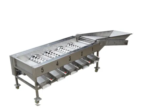 1000 kg per Hour Fruit & Vegetable Sorting Machine photo-3
