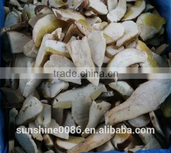 White Boletus Edulis Mushroom photo-5