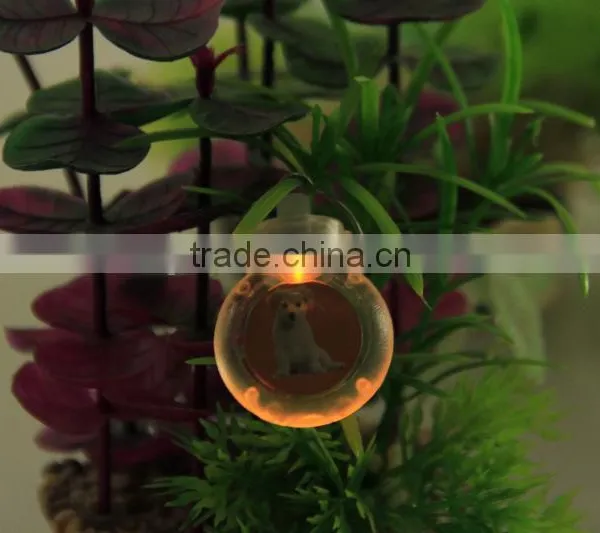 Mixed Wholesale 6 Styles 5 Colors Led Light Pet Pendant Dog Tag Pendant photo-2