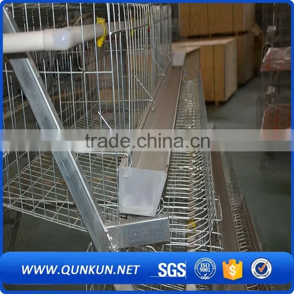 Egg Production Project Poultry Farming Equipment H Type Design Layer Chicken Cage for Sale photo-5